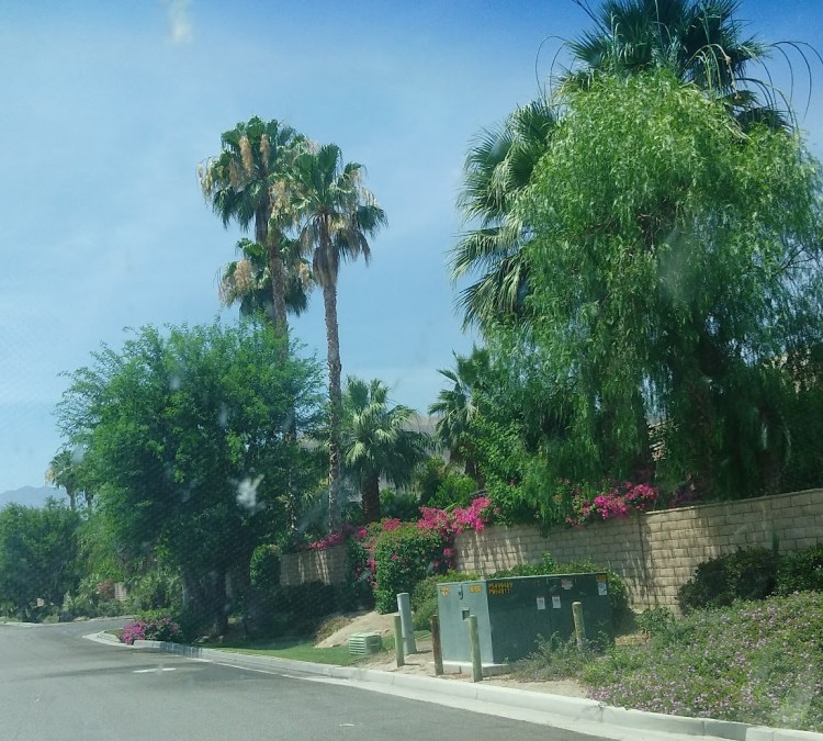 City of Palm Desert University Park East (Palm&nbspDesert,&nbspCA)
